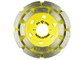 Фреза алмазная торцевая 100 х 6 х 22,23 Segmented Concrete двурядная